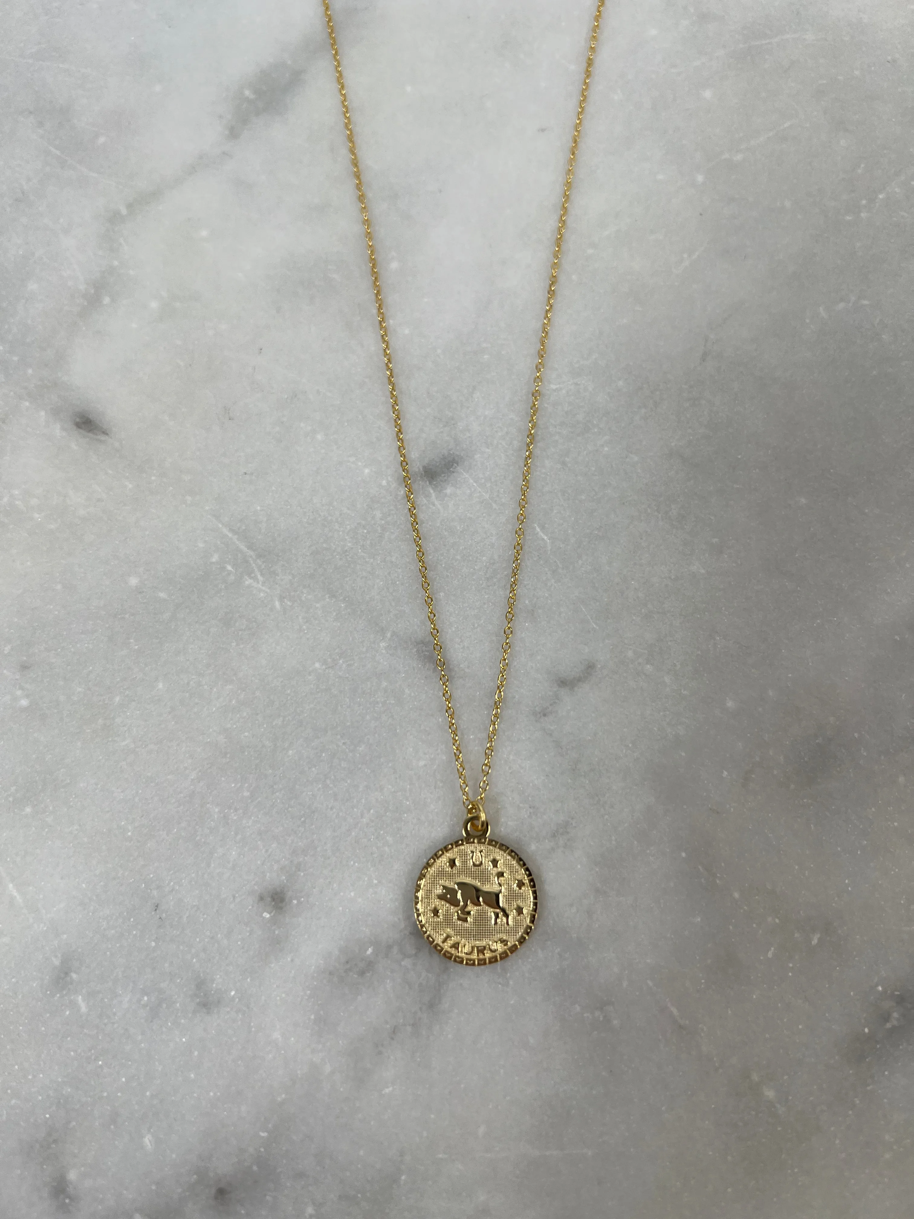 14k Horoscope Disc Necklace, TAURUS Diverse Style