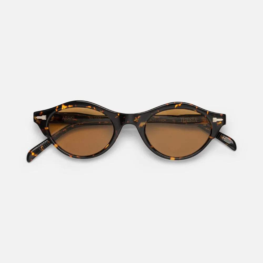 Tejesta Sunglasses - Araki style element