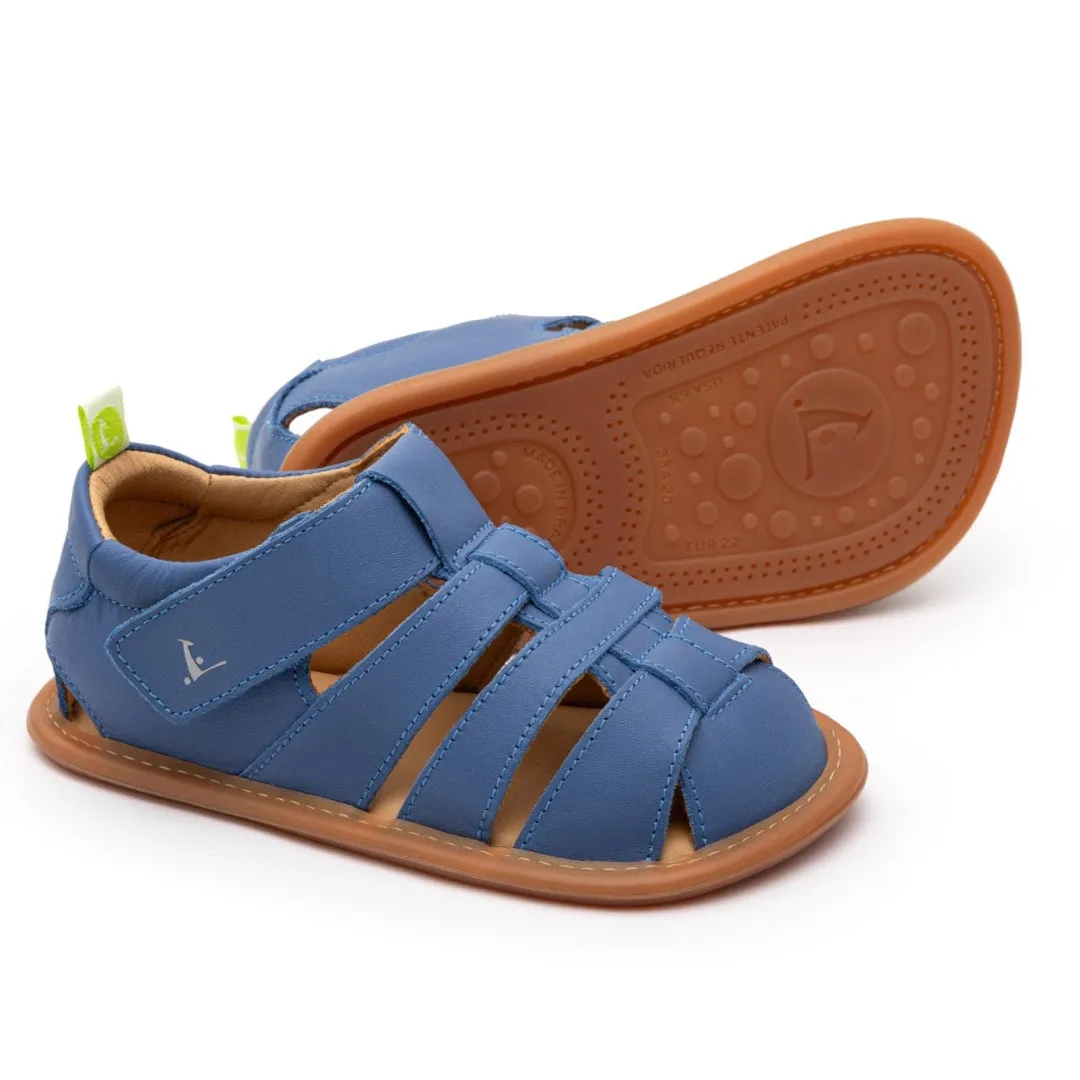 Tip Toey Joey Boy's Sandy Sandals - Blue Tang Sunshine Path