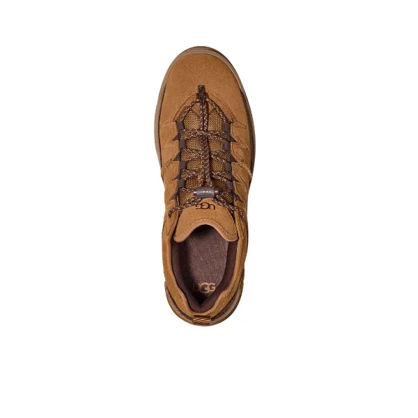 UGG Men's Captrail Low Chestnut sunny day